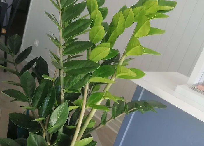 Kyriad Direct Saintes